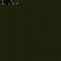 Highwin仿真玫瑰花灯饰,太阳能铁艺装饰灯,公园小径欧式路引灯