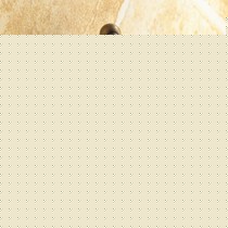 屈臣仕复古黄铜欧式龙头,冷水快开四分头多功能洗衣机龙头,货号8989