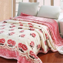 阿德拉透气保暖立体印花毛毯,精密封边拉舍尔多功能不掉毛盖毯,型号S10160001