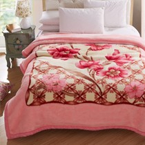 晴美9098双面透气保暖盖毯,立体绒面环保印染拉舍尔毛毯,亲肤吸湿秋冬盖毯