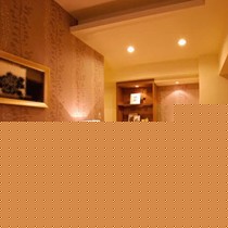 雷士NDL312P客厅2.5寸装饰灯,烤漆防掉色饰面防锈节能筒灯,冷钢E27接口5W灯