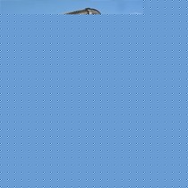 自然涂BMATA系列可调内墙涂料,清新防水抗菌多彩哑光乳胶底漆