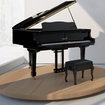 卡罗德黑白色立式三角钢琴,鱼鳞松烤漆88键演奏琴,型号:T-G5