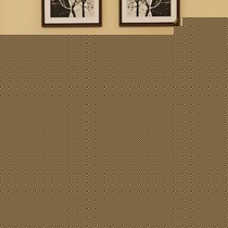 卡罗德实木色长方形演奏琴,云杉木哑光88全键练习琴,型号:CT23-B