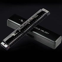 天鹅黑色长方形复音口琴,儿童入门24孔树脂口琴,型号:SW24ML