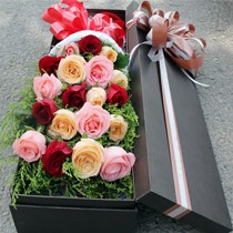 乐之恋品牌19朵情人节玫瑰花,礼盒装的玫瑰花,货号h0319