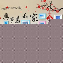 lovewall/爱满屋经典清新相框墙,混色组合搭配相框墙,型号:家和万事兴