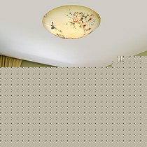 巴斯光年吸顶灯田园手绘,鸟语花香LDE金属灯具,型号: 318A