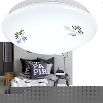 松丰紫百合卧室吸顶灯,铁艺田园灯具节能简约,型号: SF-BH121