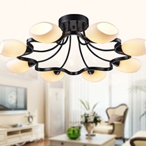 Epinl圆形简约梅花装饰灯,优质铁艺玻璃吸顶灯,型号:M10型