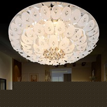 伦灯灯饰羽毛水晶客厅吸顶灯,无极调光LED灯具,型号2046