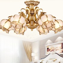 福瑞达全铜复古节能吸顶灯,热弯工艺浮雕吸吊两用灯,型号: T66-6