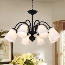 惠特曼吸吊两用铁艺吊灯,玻璃灯罩铁艺烤漆餐厅吸顶灯,型号: HD1035