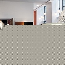 长春藤防腐地板漆,细腻漆膜无味抗污面漆,高光环保耐磨天然地坪漆