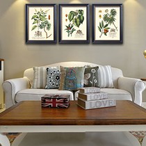 绘绘牌美式三联装饰画,JZ0025-2型植物花卉装饰画,进口画芯制作工艺