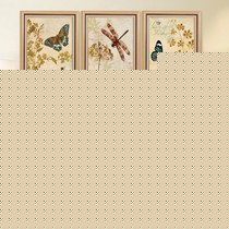 匡裕欧式喷绘装饰画,蝴蝶蜻蜓有框家居墙上挂画,货号 A-10120