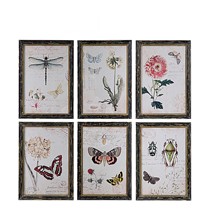 creative home/可立特喷绘图案装饰画,木质仿古昆虫壁挂,货号: DE5317A-1