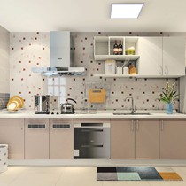 尚品宅配一字型整体厨房定制,掩门吊柜地柜组合,型号: F23114