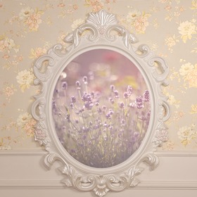 实木悬挂式烤漆穿衣镜