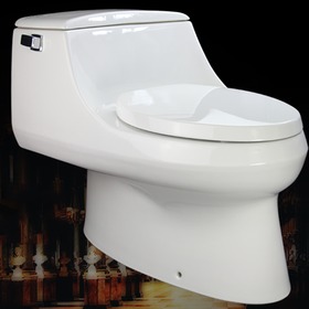 五星级品质马桶坐便器