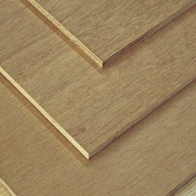 E1级多层杨木芯生态饰面板