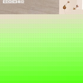 立地式自动冲水小便器