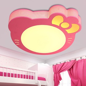 亚克力卡通吸顶灯