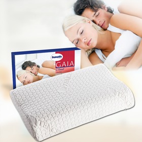 天然乳胶单人枕芯