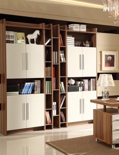 带门格子板式书柜