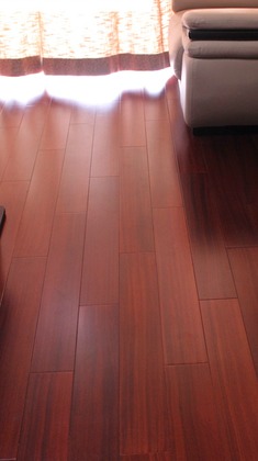 红褐色圆盘豆实木地板