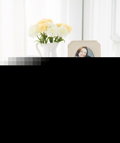 水星家纺纤维枕头