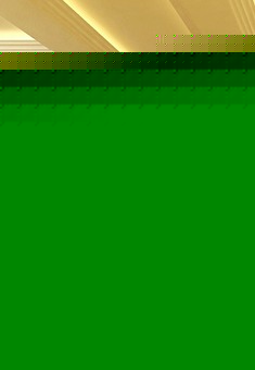 LED超亮贴片软灯带