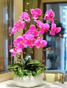 蝴蝶兰仿真花盆景