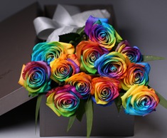 七彩玫瑰梦幻鲜花礼盒