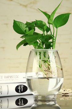 腰鼓型台面玻璃花器