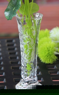 圆柱透明玻璃花瓶