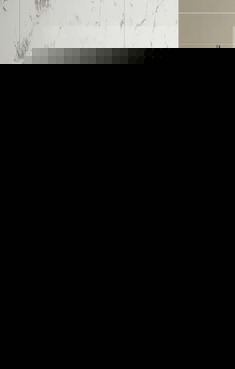 实用墙排水坐便器