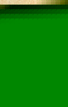 四分头多功能欧式龙头