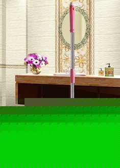 单驱动脚踩旋转拖把