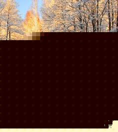 保暖健康的羽绒被