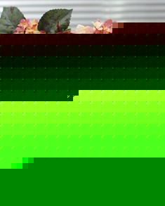 欧式钢化玻璃水果盘