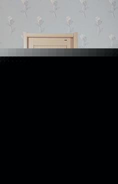 复合木材免漆框式门