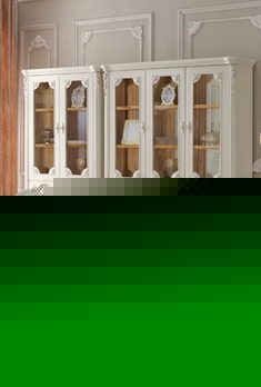 实木雕花储物书柜