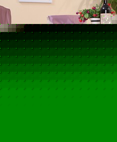 绣花涤棉餐桌布