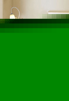 创意白色郁金香铁艺落地灯