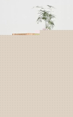 原木色白橡木带抽边柜