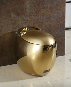 纯金色智洁釉坐便器