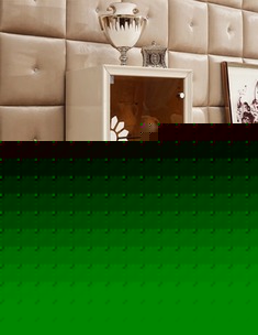 新古典玻璃酒柜