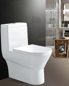 典雅风尚的坐便器