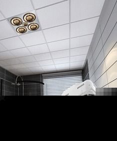 灯暖换气多功能吸顶式浴霸